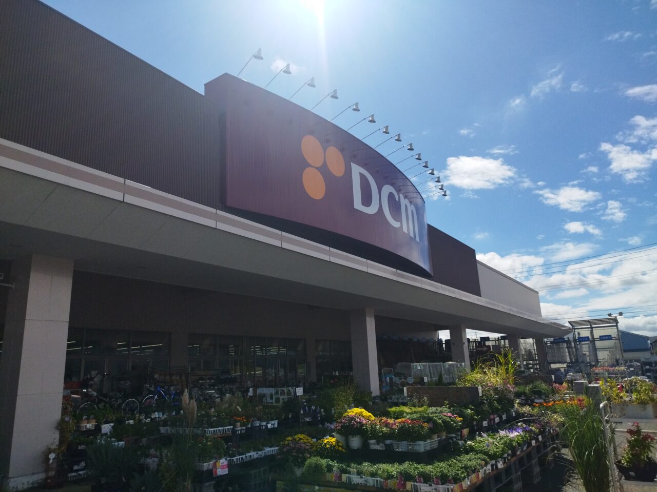 DCM南館店