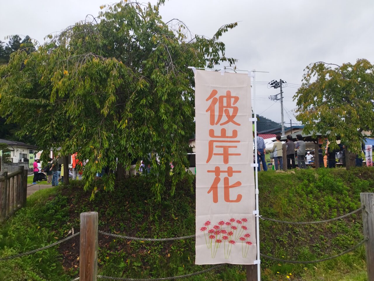 長谷堂城山彼岸花祭