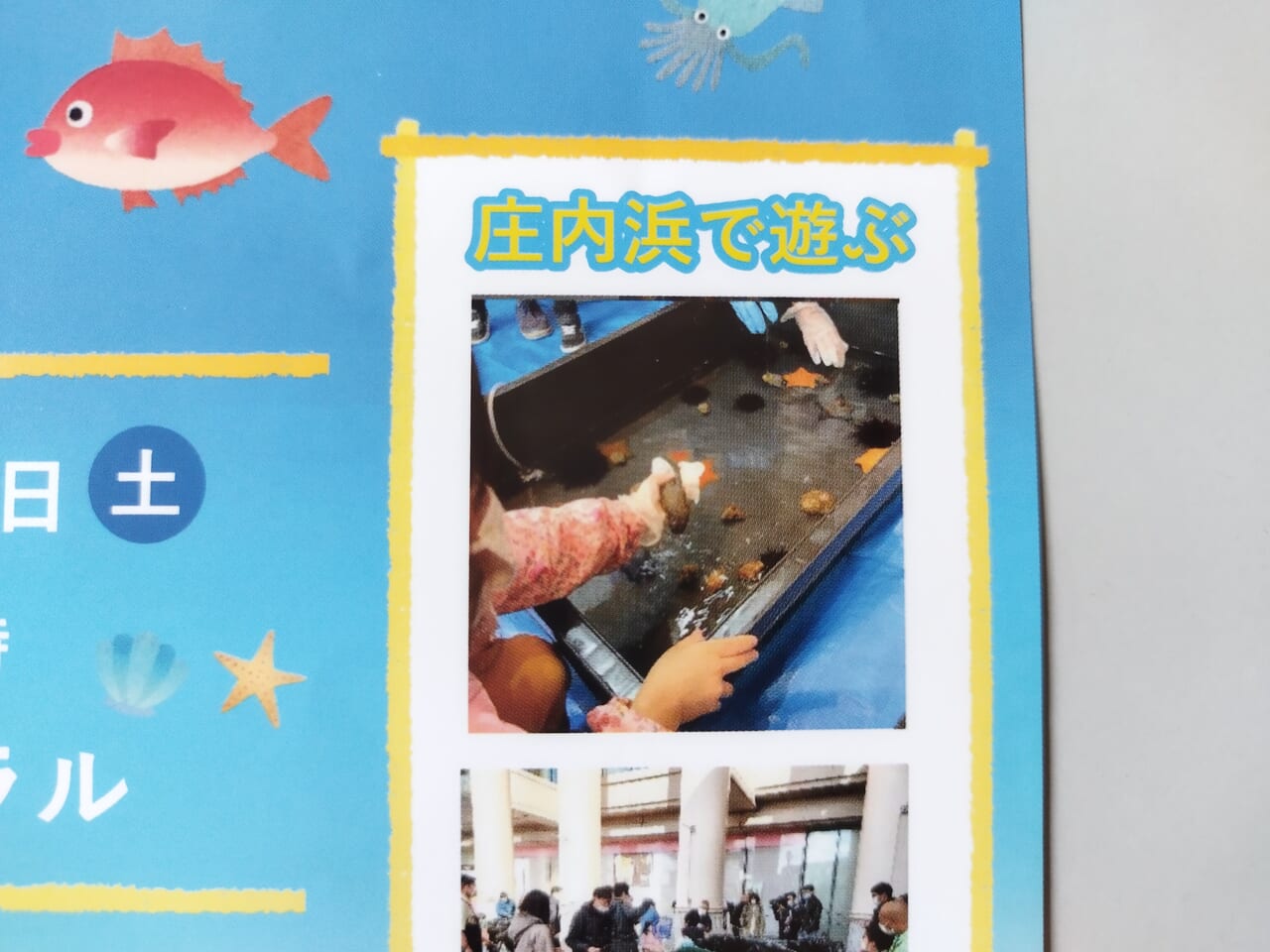 庄内浜魚まつりのポスター