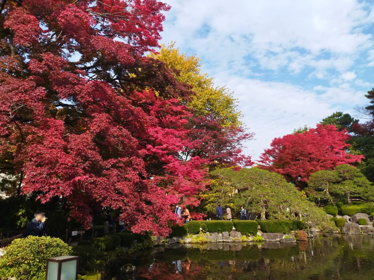 もみじ公園