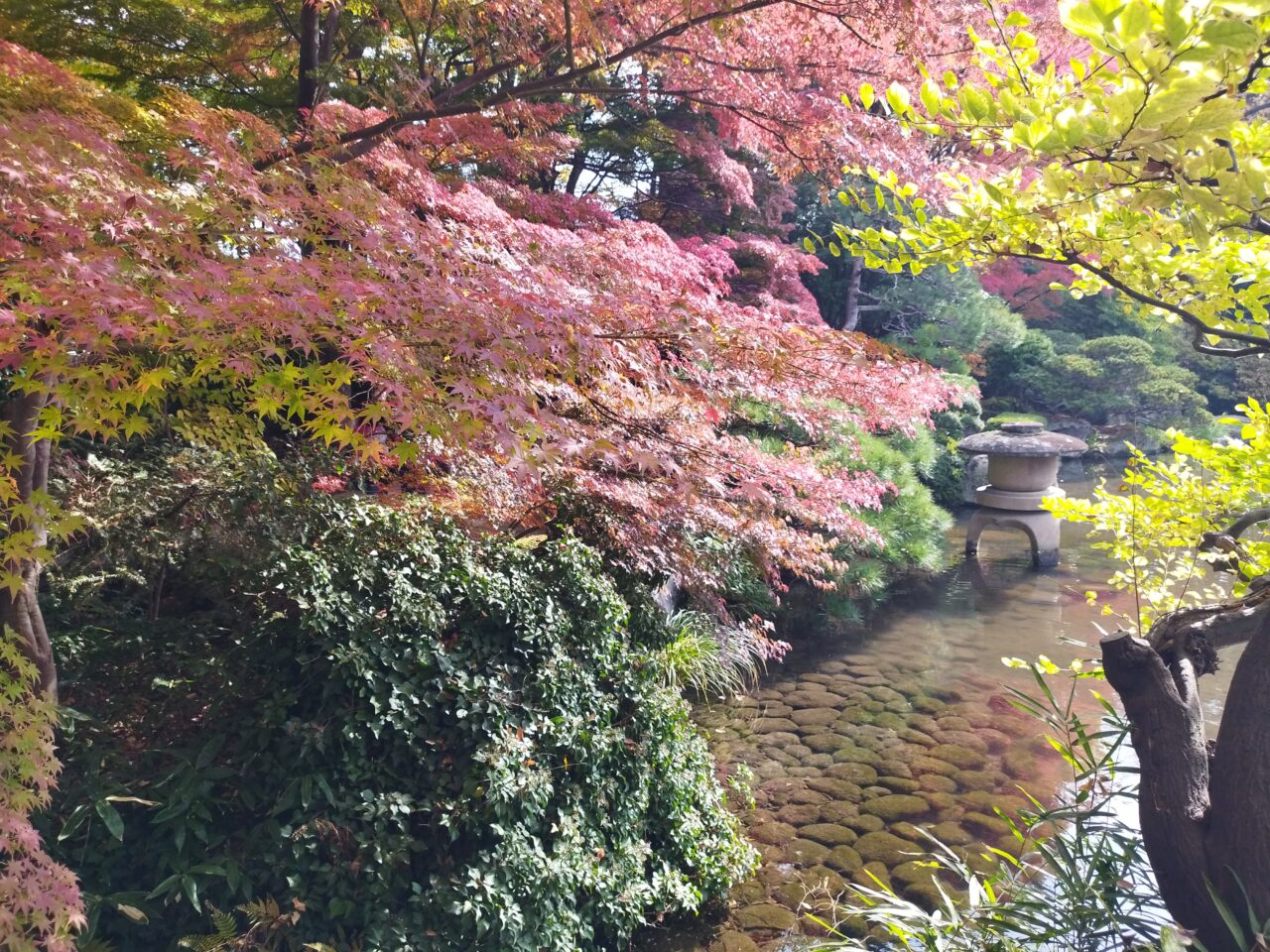 もみじ公園