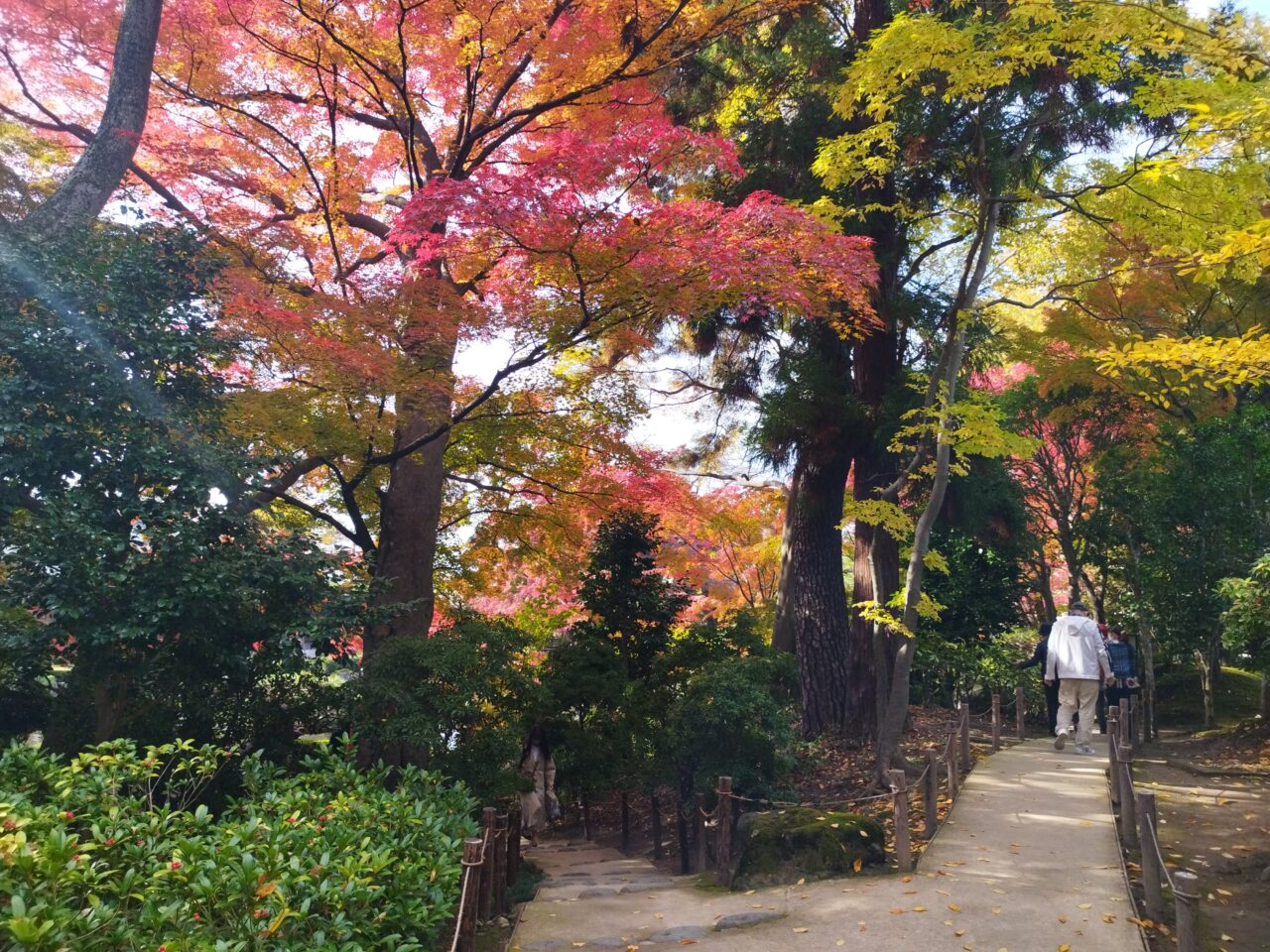 もみじ公園