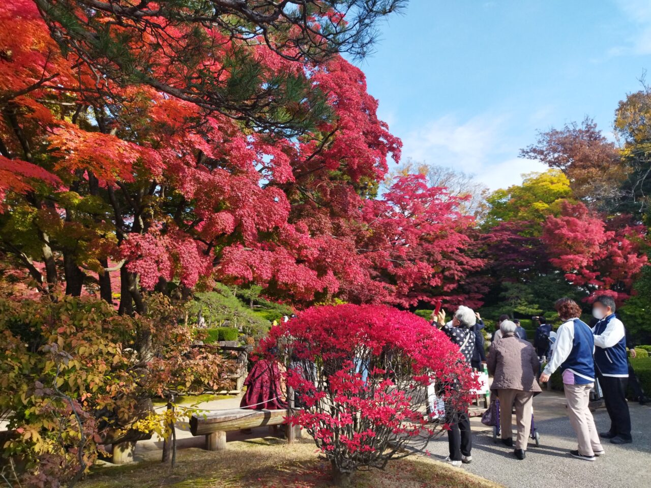 もみじ公園