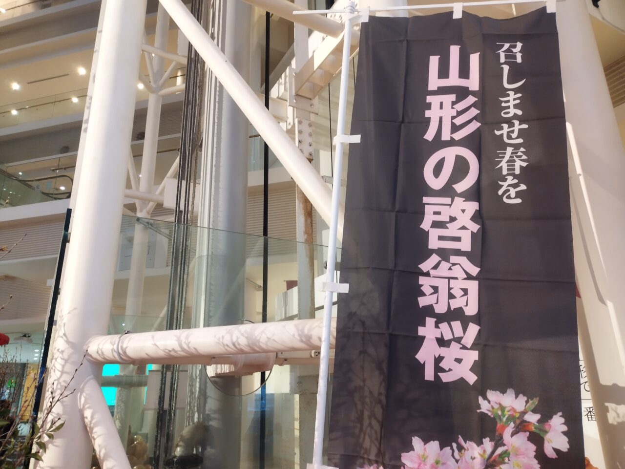 霞城セントラルの啓翁桜
