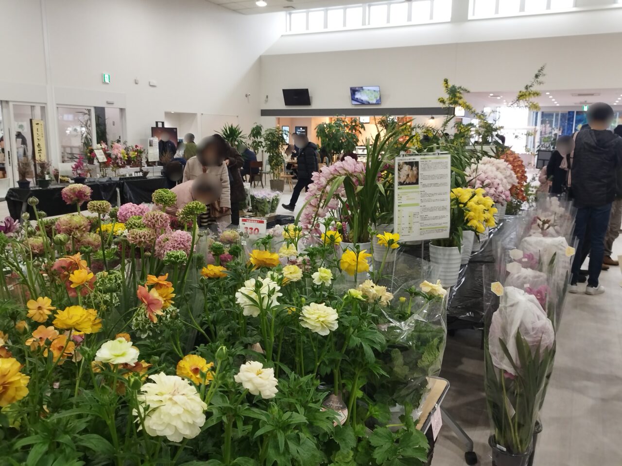 魅惑の蘭展 in 道の駅やまがた蔵王