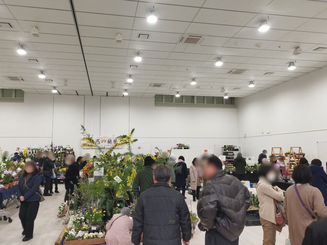 魅惑の蘭展 in 道の駅やまがた蔵王