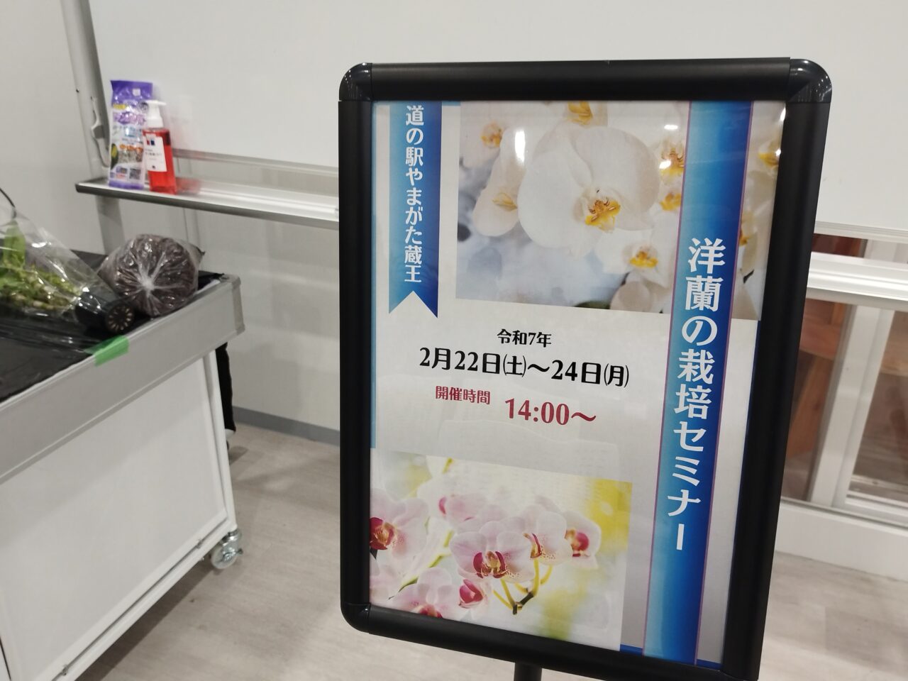 魅惑の蘭展 in 道の駅やまがた蔵王