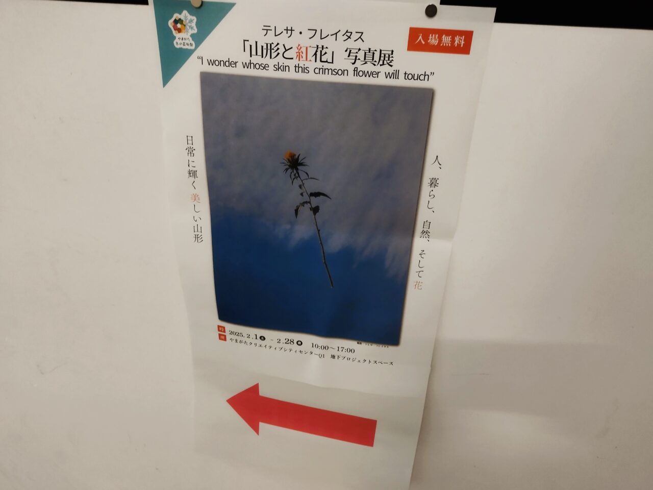 テレサ・フレイタス「山形と紅花」写真展 