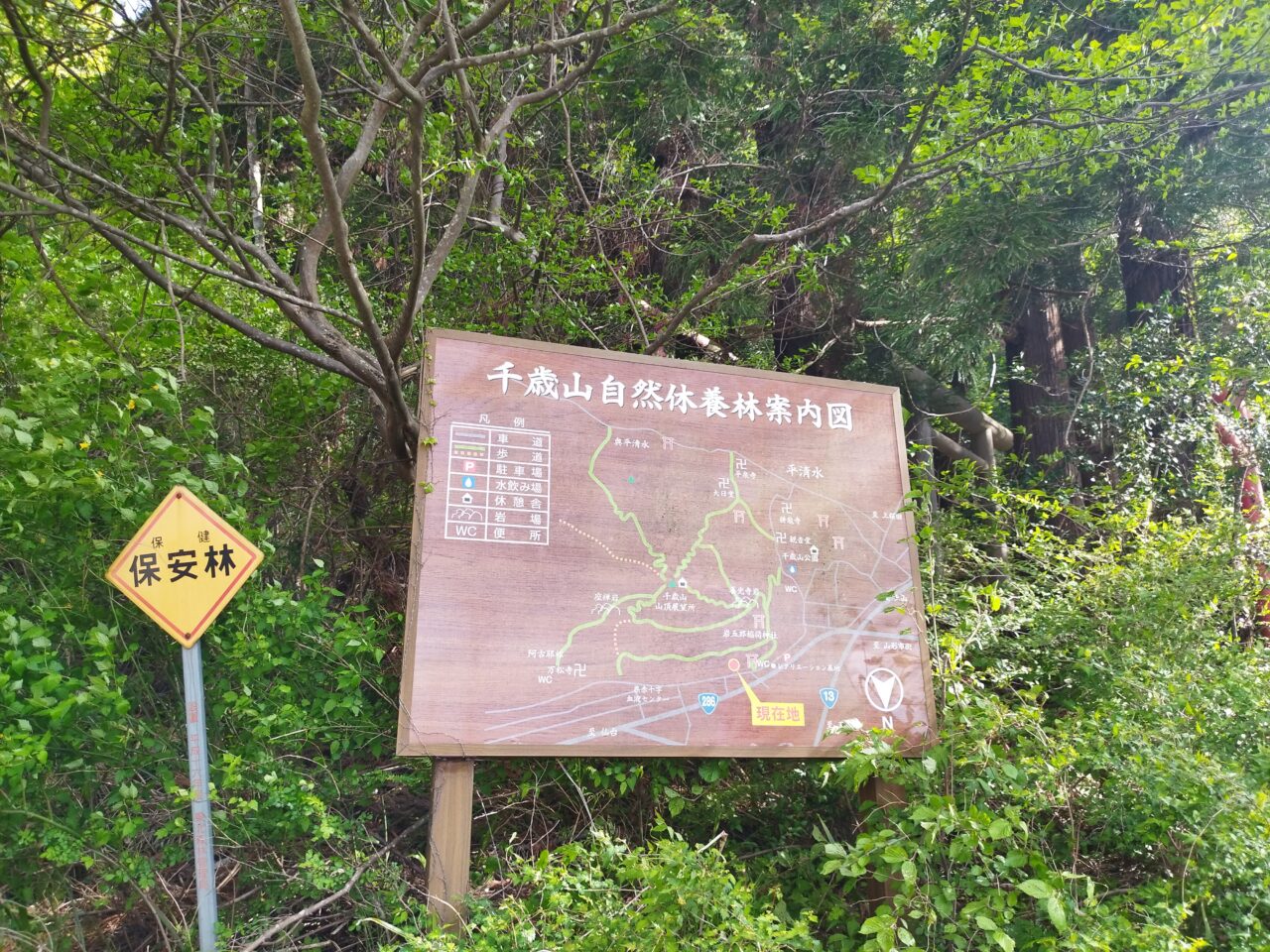千歳山