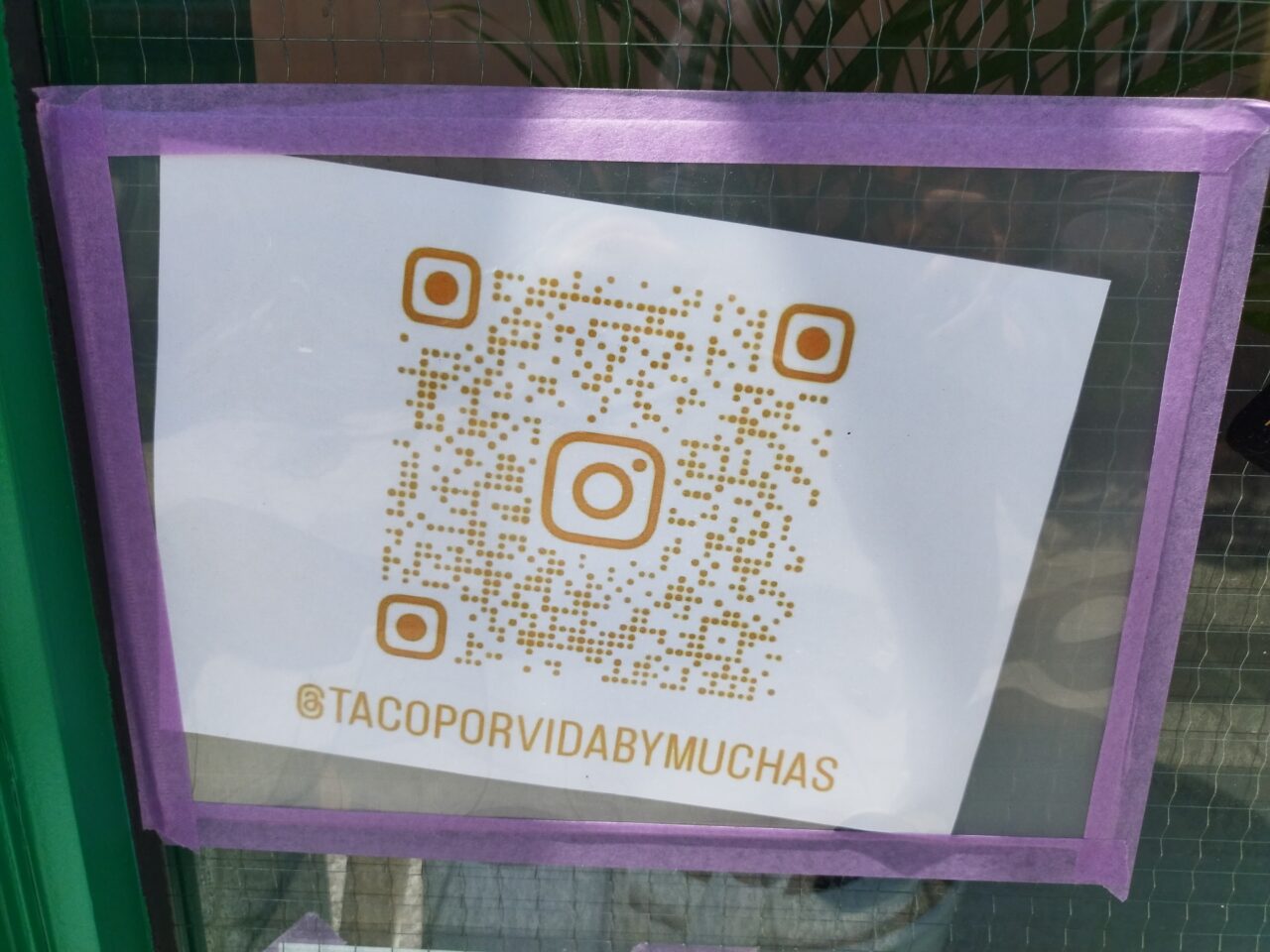 タコポービダ
