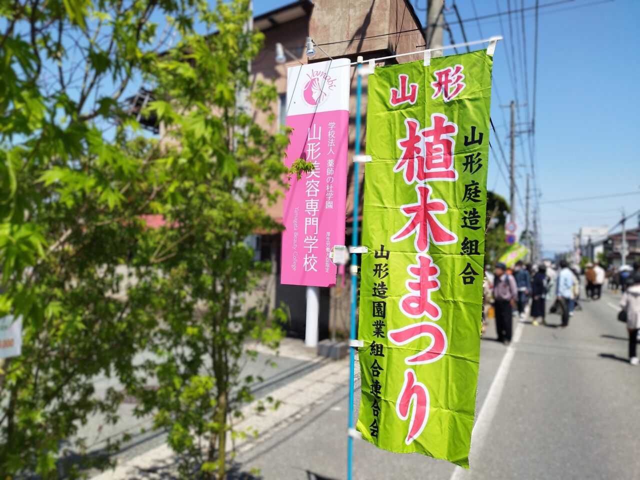 薬師祭植木市