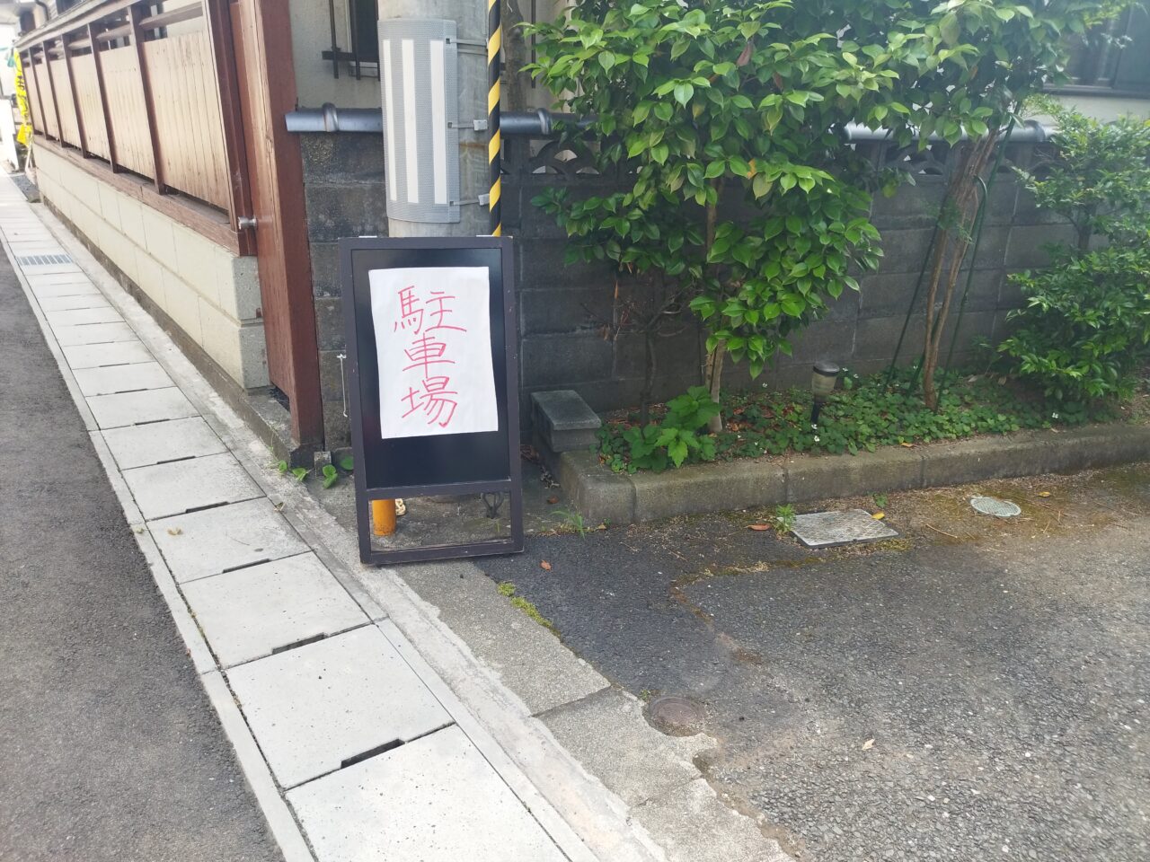 蕎麦前大統領