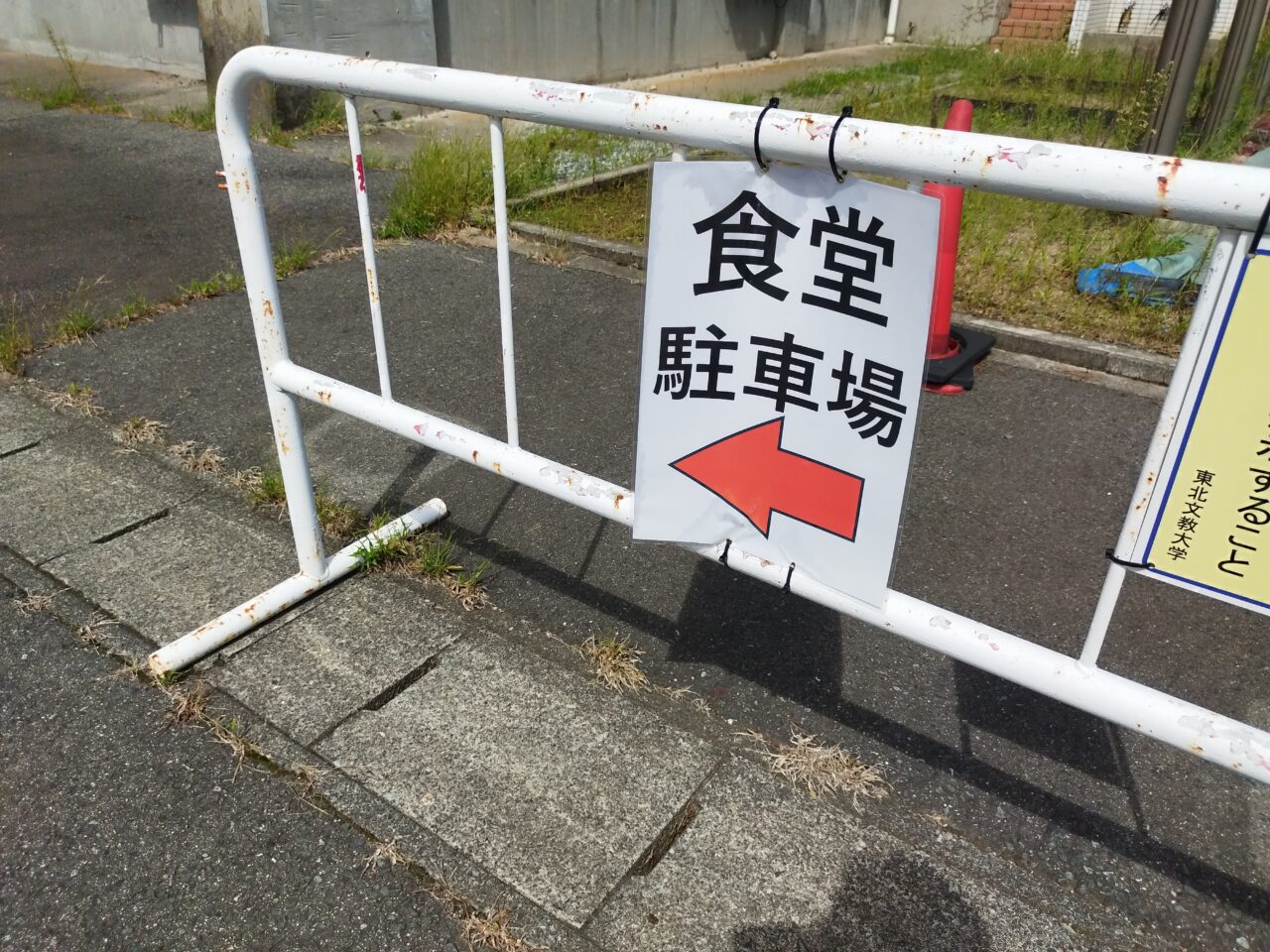 東北文教大学