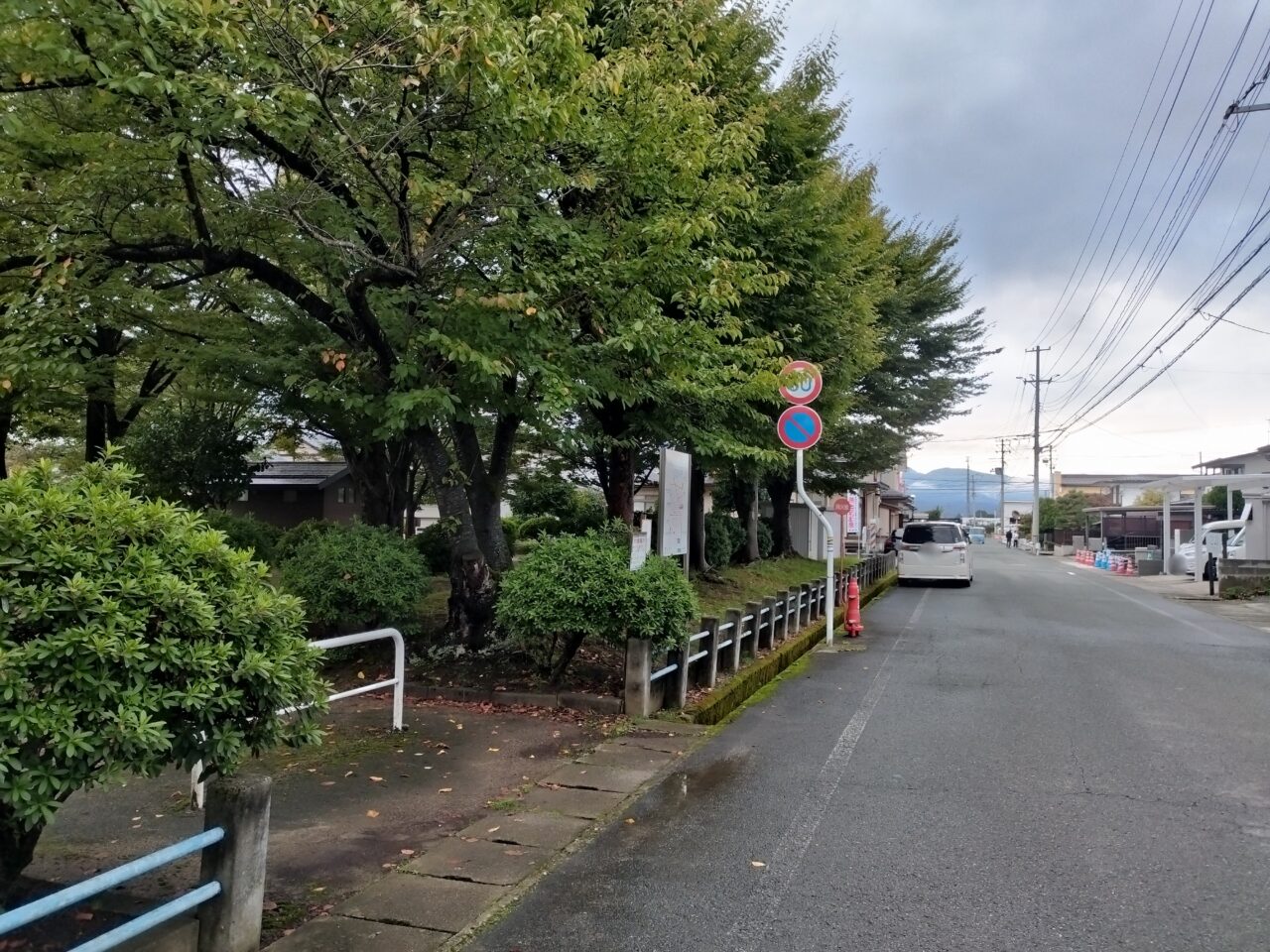 ひまわり公園