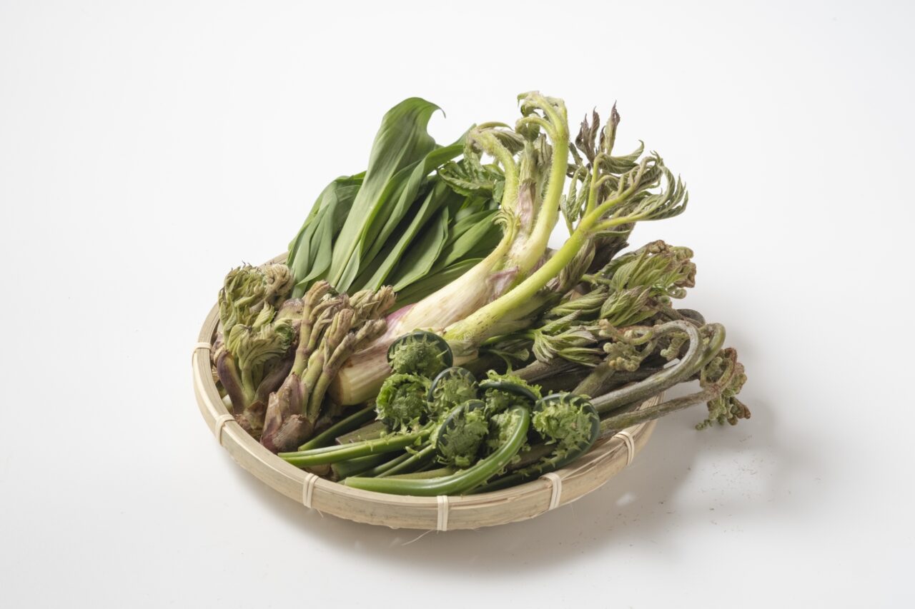 山菜のイメージ画像