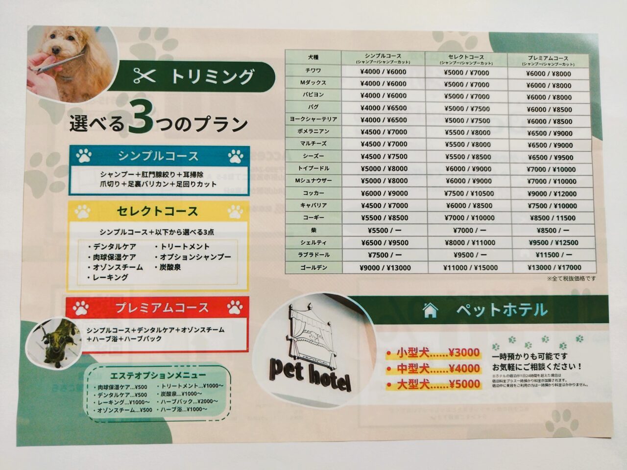 アイズドッグ山形店のチラシ