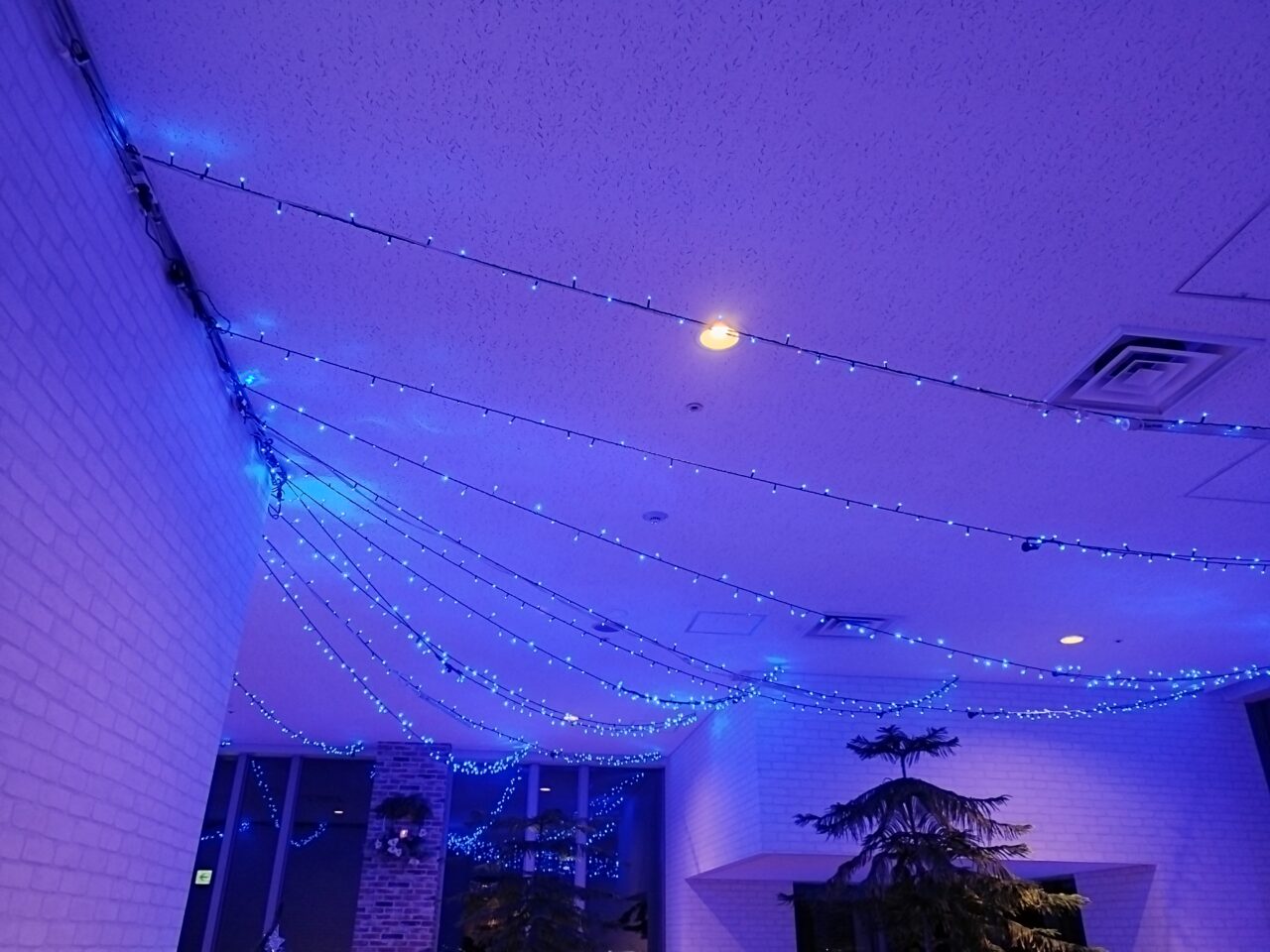 霞城セントラル ウィンターイルミネーション 2025